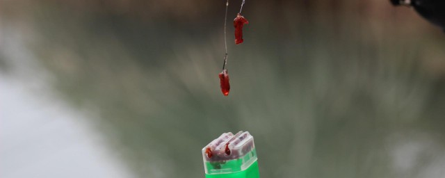 紅蟲拉餌怎麼調漂 紅蟲拉餌調漂的方法