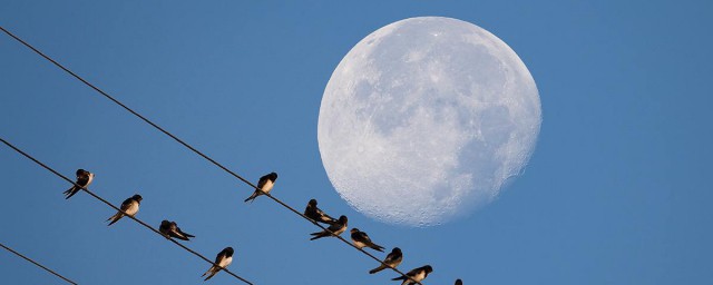 手機怎麼拍月亮 拍攝時間是關鍵