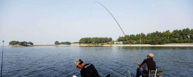 新手釣魚用什麼魚竿 新手魚竿推薦