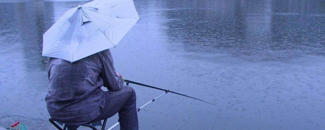 陰雨天怎麼釣魚 怎麼在陰雨天釣魚