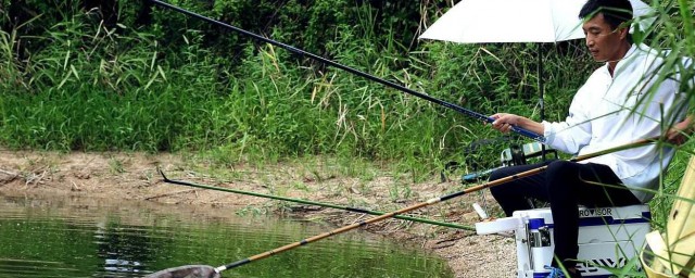 手竿釣魚調漂技巧 手竿釣魚怎麼調漂