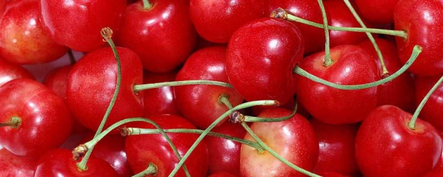 美早分幾種大櫻桃品種 關於美早櫻的簡介