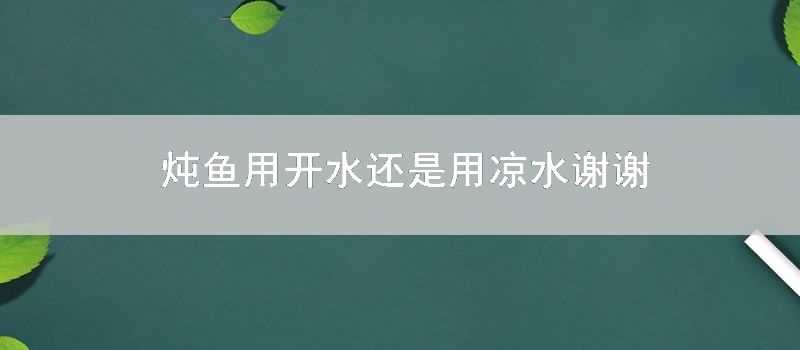 燉魚用開水還是用涼水謝謝