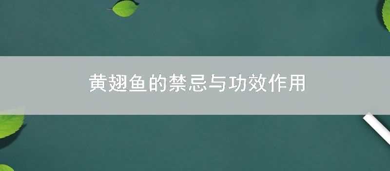 黃翅魚的禁忌與功效作用