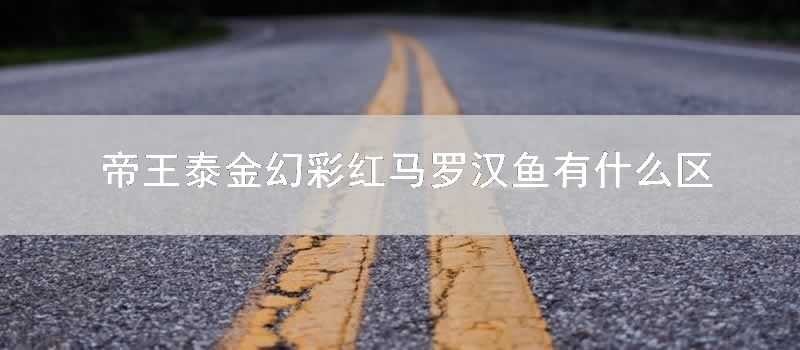 帝王泰金幻彩紅馬羅漢魚有什麼區別