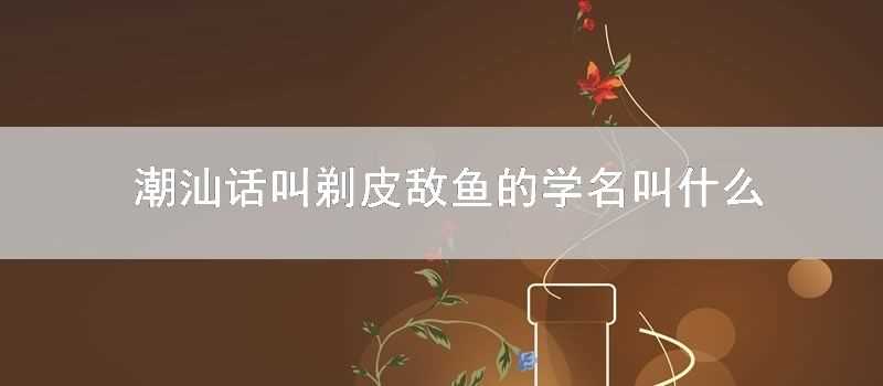 潮汕話叫剃皮敵魚的學名叫什麼