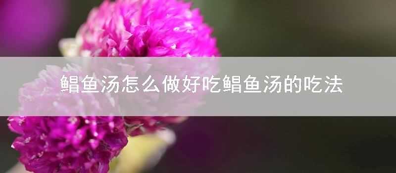 鯧魚湯怎麼做好吃鯧魚湯的吃法