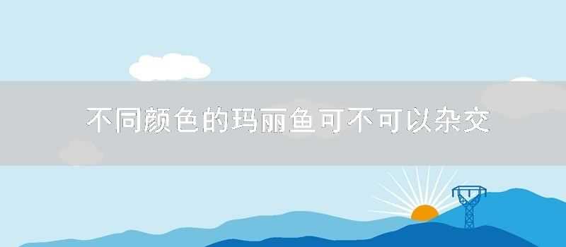 不同顏色的瑪麗魚可不可以雜交