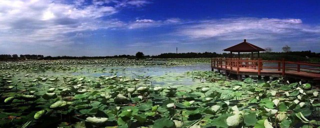 河北省最大的湖泊 位於哪個位置呢