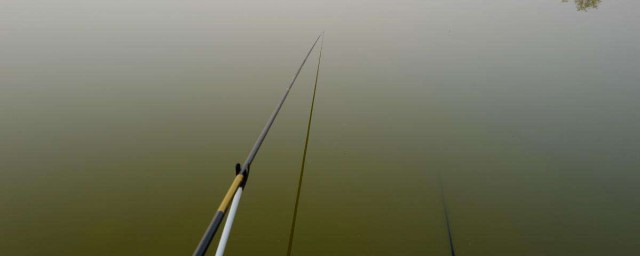 霧天釣魚行嗎 下面為大傢解答