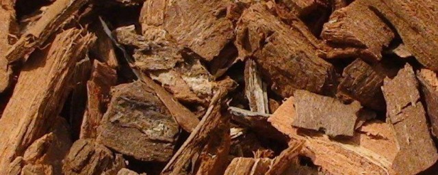 幹枯的柳樹皮如何發酵 幹枯的柳樹皮發酵的過程