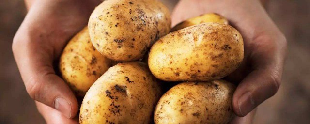 土豆怎樣長期保存不發芽 土豆發芽瞭能吃嗎