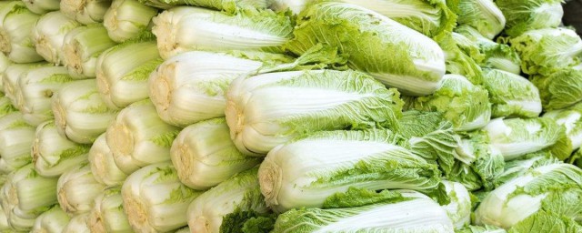 大白菜啥時候停止澆水 定苗有什麼原則