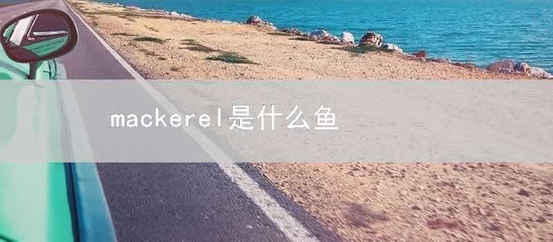 mackerel是什麼魚