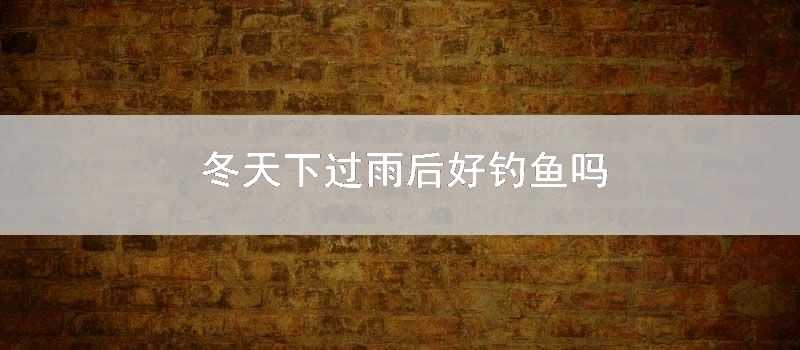 冬天下過雨後好釣魚嗎