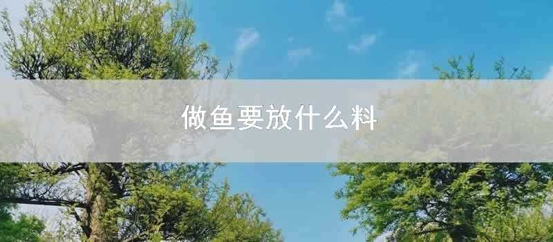 做魚要放什麼料