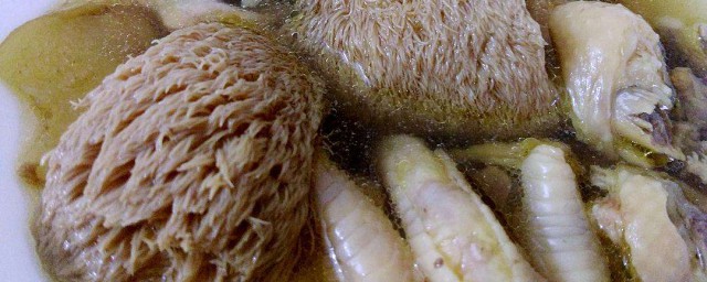 雞湯怎麼燉最補血 試試這道猴頭菇燉雞湯