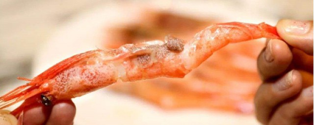 蝦的危害有哪些 你需要特別註意的