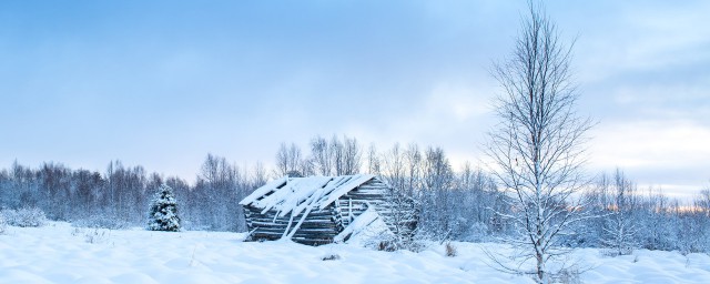 感受雪景的心情短語 朋友圈裡關於雪的說說心情短語