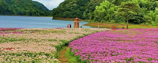 廣州石門國傢森林公園地址 是一個很美麗的公園