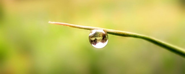 適合冬雨的早晨句子 十句描寫冬雨早晨的句子