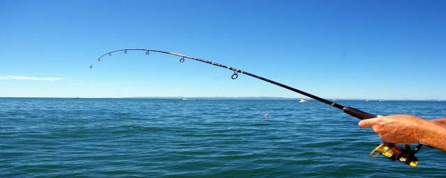 丁香油釣魚絕密配方 丁香油釣魚的正確配方