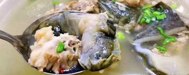 燉甲魚的配方 燉甲魚的方法