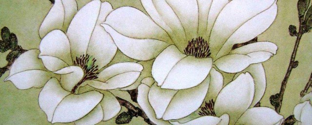 描寫玉蘭花的詩詞 在古詩中領略玉蘭花的柔情