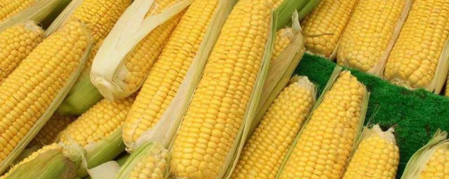 玉米儲存方法 3種鮮玉米保存方法