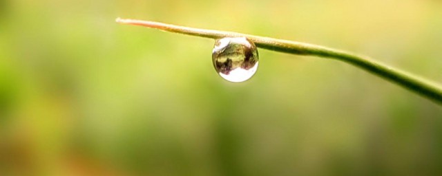 關於冬雨的情感句子 這些句子非常好