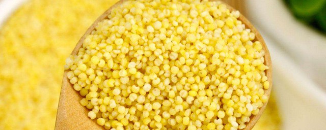 大黃米和小米的區別 小米功效是什麼