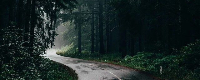 下葬後下雨好嗎 這裡有答案