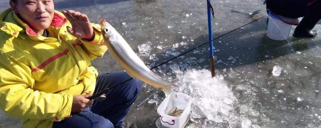 冰釣如何找氣泡找魚 冰釣找魚有妙招