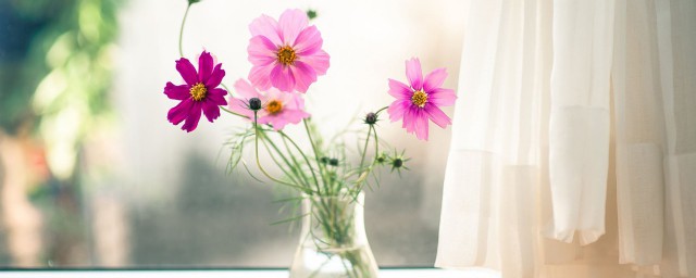 鮮花保鮮小妙招 4個簡單技巧讓鮮花保存更久