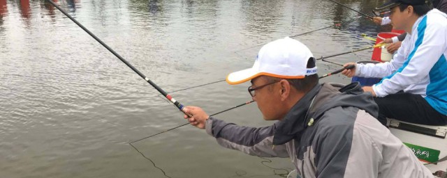 冬季拋竿釣鯉魚方法 你學會瞭嗎