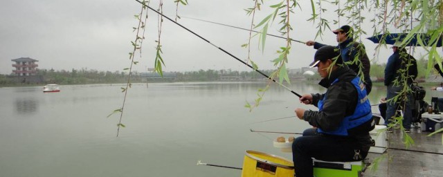 海竿水庫釣魚技巧 4個技巧提高釣魚上魚率
