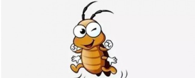 如何有效消滅蟑螂 3個方法有效消滅傢中的蟑螂