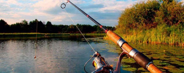 釣魚拋竿如何精準 3個釣魚拋竿技巧你需要知道