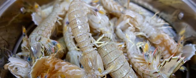 如何選皮皮蝦 3個方法教你選到又肥又新鮮皮皮蝦