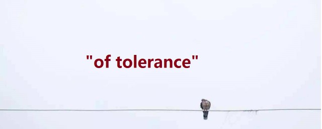 of tolerance什麼意思 對這個短語組詞