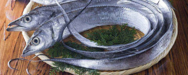 帶魚有養殖的嗎 怎麼區分東海帶魚和南海帶魚