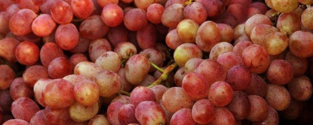 葡萄是什麼味道 葡萄居然有5種味道