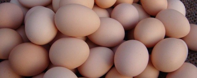 土雞蛋和飼料雞蛋的區別 你是否瞭解呢