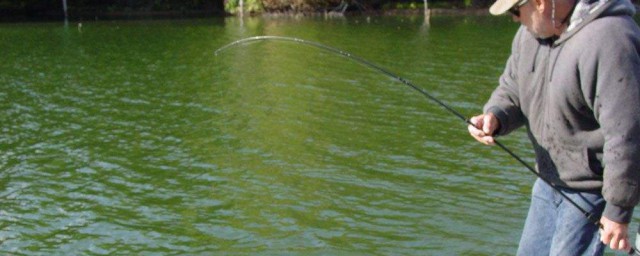 河裡釣魚技巧 六個小技巧教你河裡釣魚
