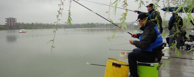 冬季野釣窩料 制餌需要哪些原料