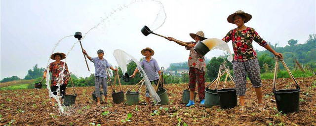 三分地是多少平米 一畝三分地的出處