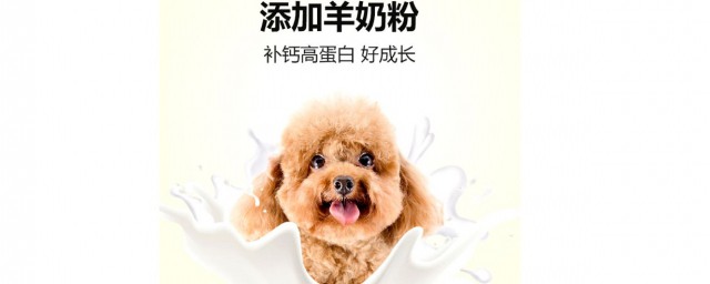 狗吃什麼鈣片 狗如何補充鈣質