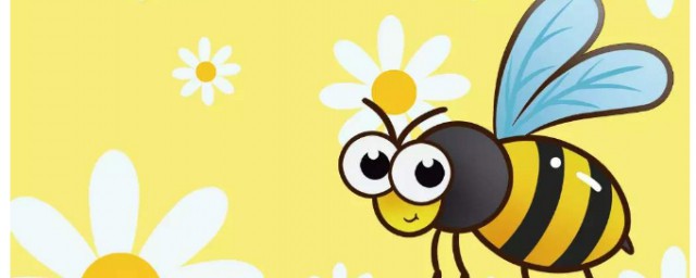 中蜂養殖常用操作方法 中蜂養殖的8個小妙招