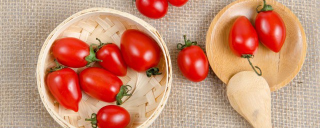 傢庭小番茄種植過程 關於傢庭小番茄種植過程