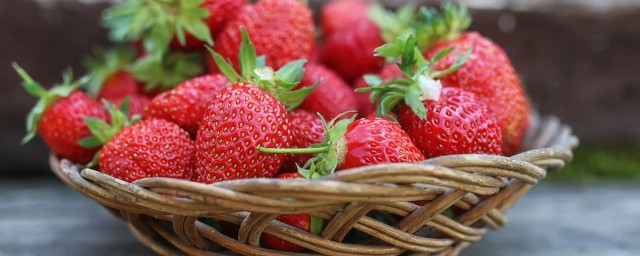 草莓苗養殖技巧 草莓苗如何養殖